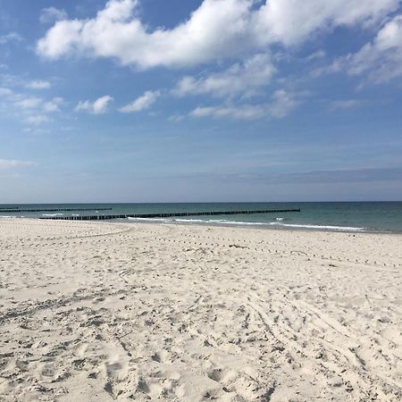 Seepferdchen Zingst Exterior photo